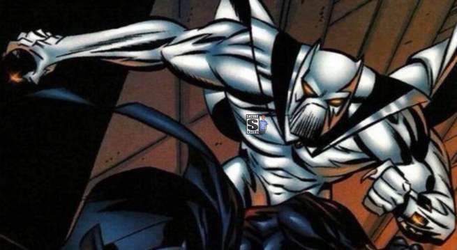 Protests Cause Marvel To Cancel ‘White Panther’ Film