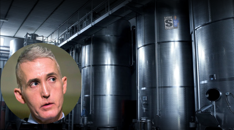 Trey Gowdy Finds ‘Mysterious’ Ink Vats in Georgia
