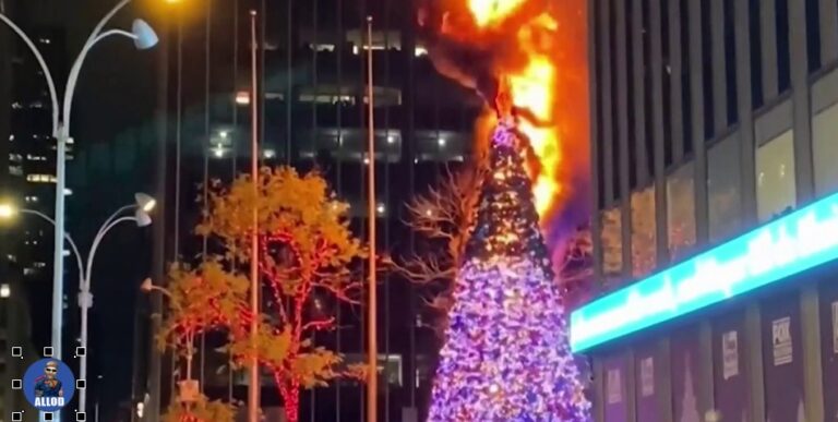 DeBlasio Fines Fox News $1.2 Million for ‘Dangerous’ Christmas Tree