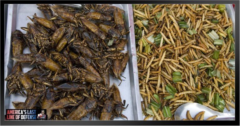 Tyson Orders 150 Million “High Protein” Cockroaches and Grubs for its “Insect Products Division”
