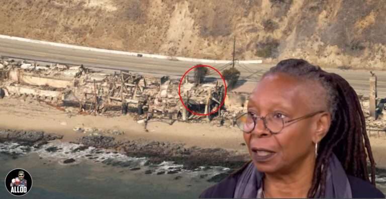 Whoopi Goldberg Scores $4.3 Million in FEMA Relief for a $1.2 Million Beach Shack
